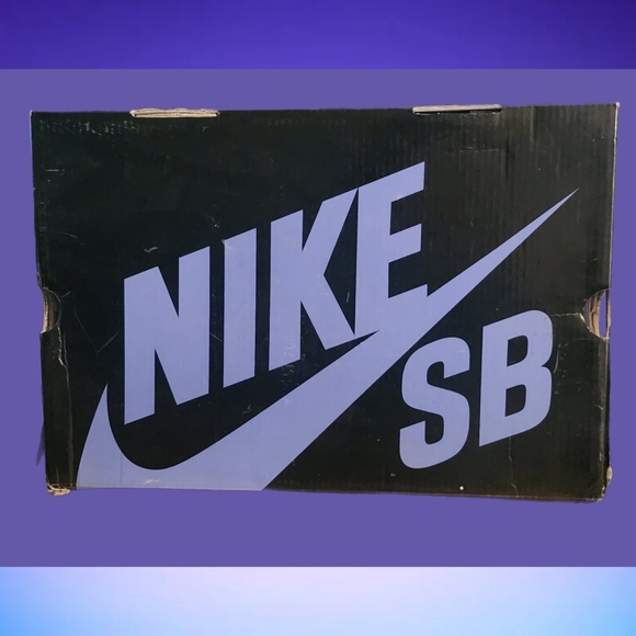 RARE NIKE DUNK HIGH PREMIUM SB DINOSAUR JR 313181-003 SIZE 9 - Picture 7 of 8